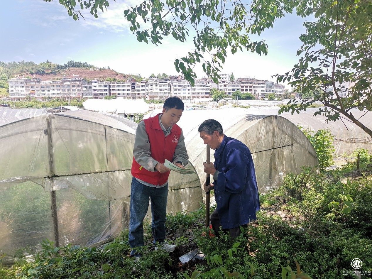  浙江泰順煙草：發(fā)揮“香溢”志愿服務(wù)“三力” 推動農(nóng)村普法“走心”