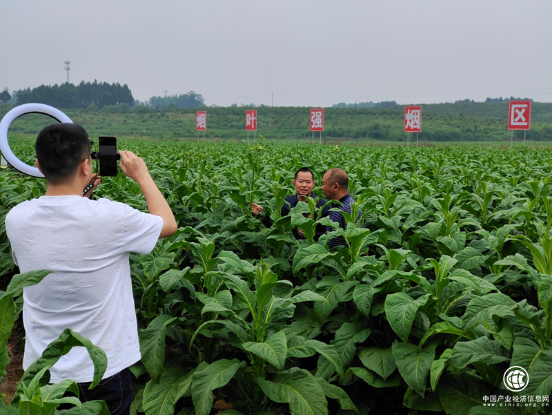  湖南衡陽(yáng)：支部建在煙站 服務(wù)潤(rùn)進(jìn)心田