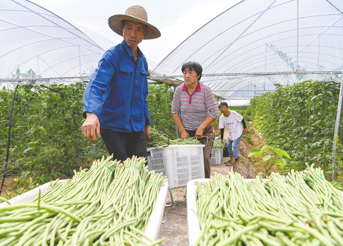 四川將適時(shí)啟動(dòng)試行個(gè)人養(yǎng)老金