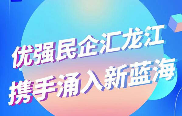 優(yōu)強(qiáng)民企匯龍江 攜手涌入新藍(lán)海