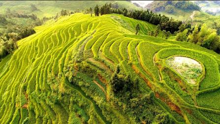 守好用好農業(yè)文化遺產(chǎn)“金字招牌”