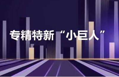 我國培育專精特新“小巨人”企業(yè)約9000家