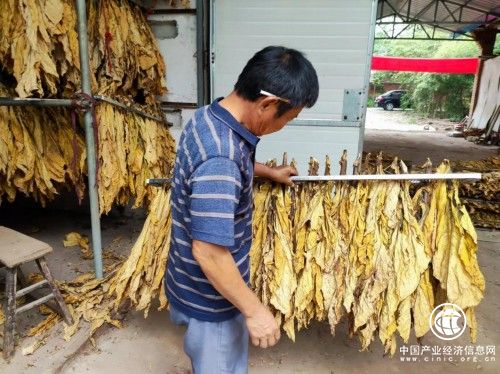 南陽市煙草專賣局：帶莖烘烤是個寶，滿炕金黃增質(zhì)效