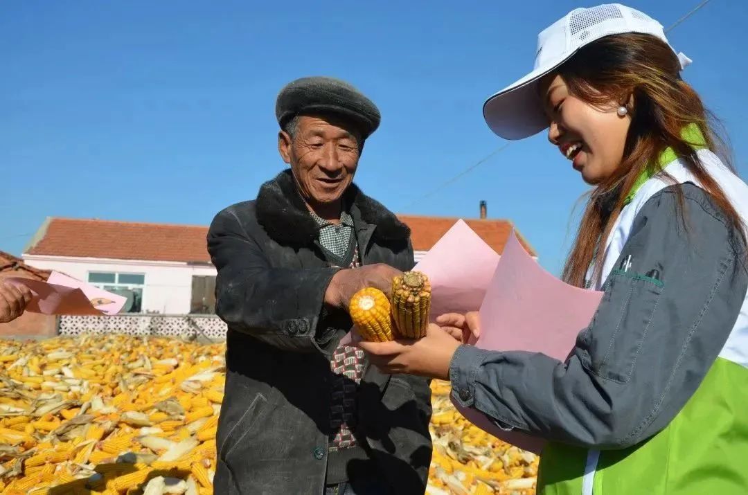 中儲糧集團：聚焦“三農(nóng)”謀幫扶 多措并舉促振興