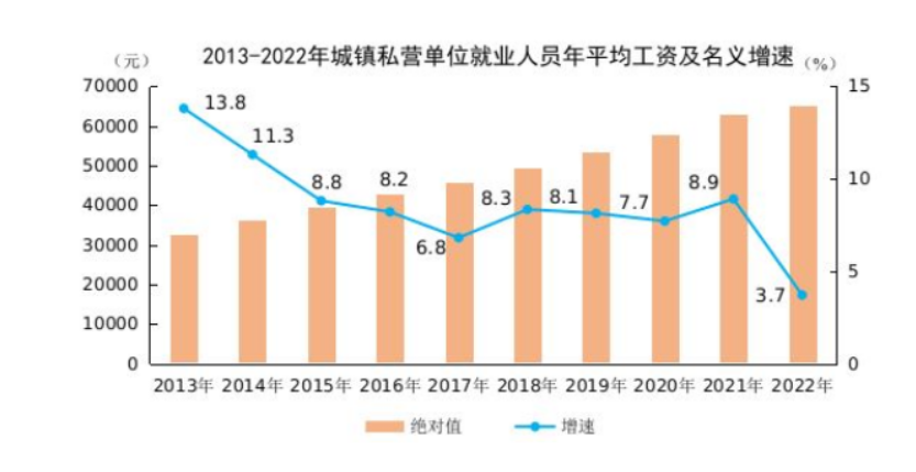 2022年城鎮(zhèn)私營(yíng)單位就業(yè)人員年平均工資65237元