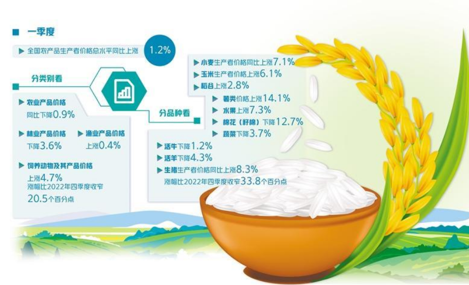 全球大米將現(xiàn)20年來最大缺口 對(duì)國內(nèi)市場影響幾何？