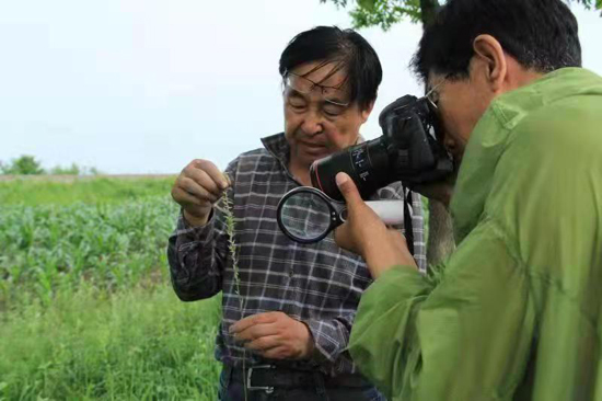 拍攝野生植物標(biāo)本.jpg