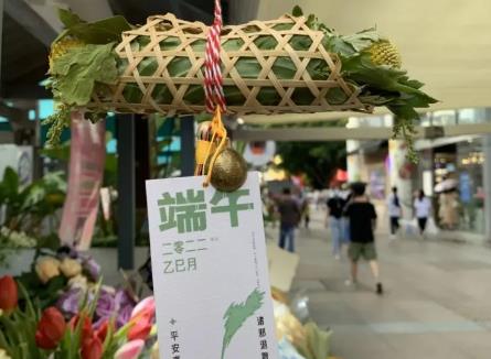 端午將至 艾草、香樟等契合節(jié)日氛圍的花卉走俏市場