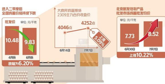 蛋價持續(xù)下跌后快速反彈 三季度雞蛋消費(fèi)有望提振