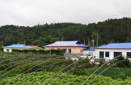 吉林傾力支持邊境村建設(shè) 216個(gè)邊境村全部納入“千村示范”創(chuàng)建