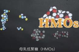 《母乳低聚糖（HMOs）的科學共識》發(fā)布 邁出產(chǎn)業(yè)化重要一步