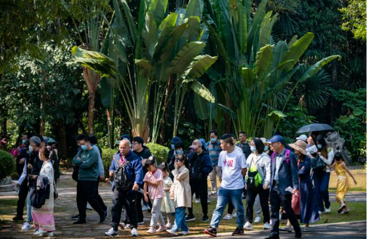 上半年旅游市場加速向好 出行消費(fèi)提升顯著