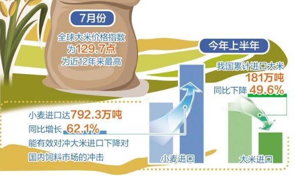 國際米價高企對我國影響有限