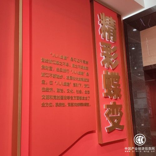 蒼南：觀“八八戰(zhàn)略”二十年主題展覽 看美麗浙江二十年精彩蝶變