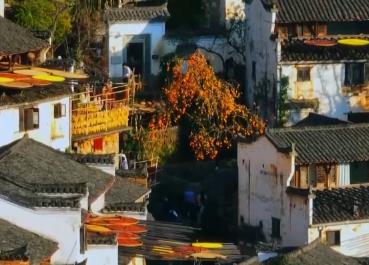 特色民宿成假期旅游“新風(fēng)景” 鄉(xiāng)村景點“打卡”同比增長60%