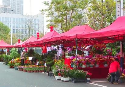 “花樣經濟”消費熱度不減 “鮮花軌跡”縱跨南北扮靚中國年