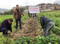 福建省實施農(nóng)技推廣“雙百”計劃