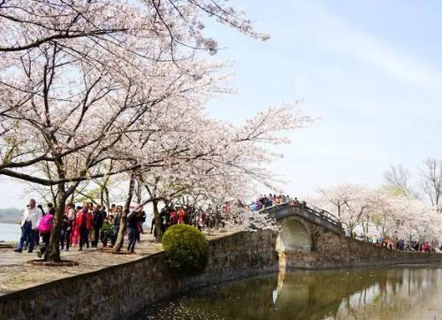 多地花香陣陣游人醉 全國(guó)“春日經(jīng)濟(jì)”熱力足