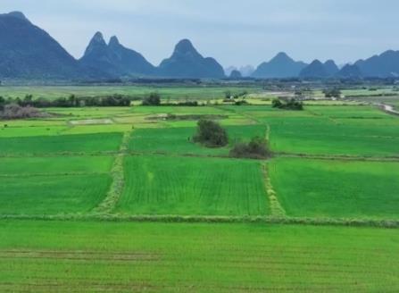 高標(biāo)準(zhǔn)農(nóng)田建設(shè)加速 “科技春耕圖”在廣袤田野鋪展開(kāi)來(lái)