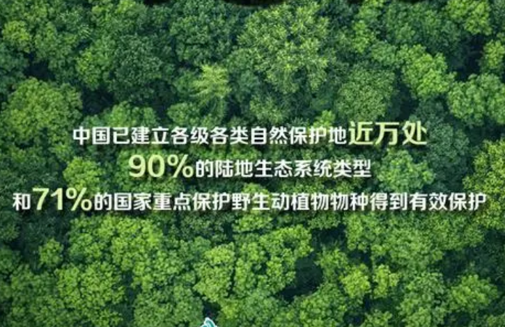 中國生物多樣性保護成果豐碩