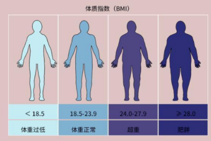 2024年版居民體重管理核心知識(shí)發(fā)布