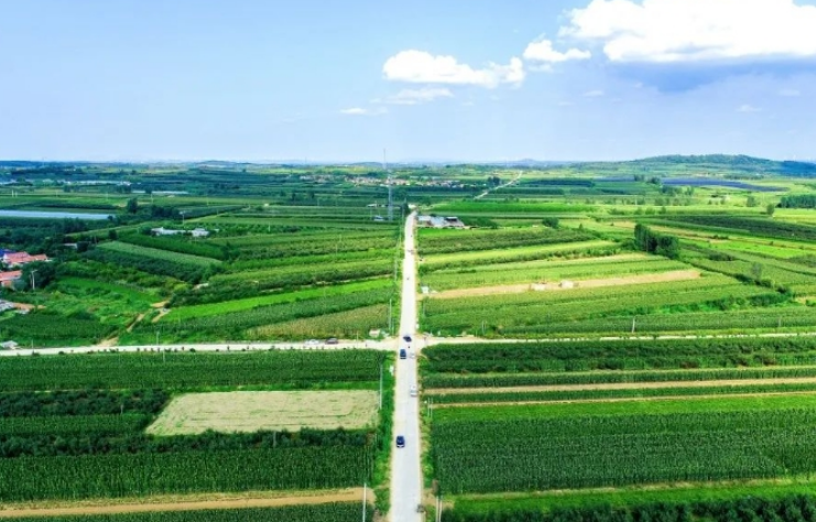 中交集團(tuán)建設(shè)“四好農(nóng)村路” 串起好山好水好生活