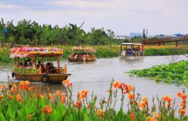 暑期自然教育活動(dòng)受追捧！廣東濕地旅游熱度升溫