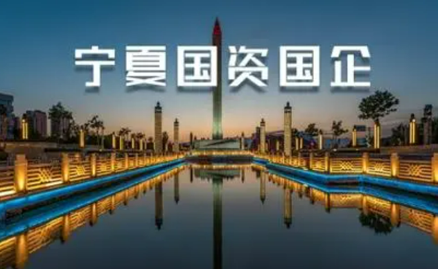 寧夏國(guó)資國(guó)企前7個(gè)月利潤(rùn)總額同比增長(zhǎng)18.4%