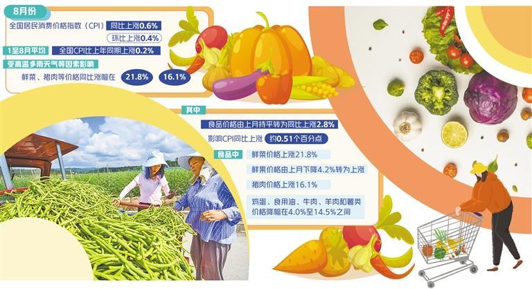 雙節(jié)將至菜籃子準備好了嗎——山東地區(qū)蔬菜價格調查