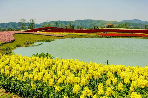 國慶假期各地發(fā)揮優(yōu)勢特色 縣域旅游釋放發(fā)展新動(dòng)能