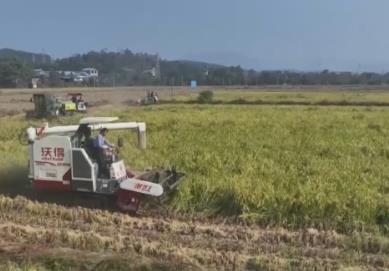 魚滿塘、糧滿倉、播種忙 希望的田野“豐”景不斷 映照農(nóng)民紅火好日子