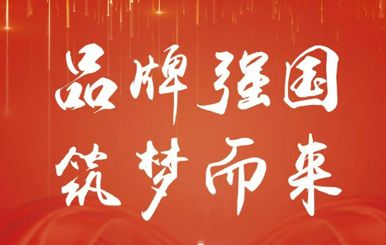 實力更強(qiáng) 結(jié)構(gòu)更優(yōu) 活力更足 品牌強(qiáng)國建設(shè)步履堅實