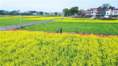 中國(guó)旅游危中求機(jī)謀轉(zhuǎn)型