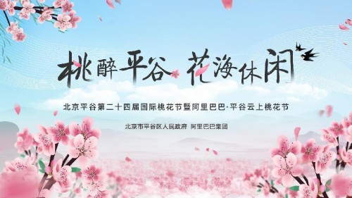 全網(wǎng)云端賞盛世桃花，平谷攜手阿里打造云上桃花節(jié)