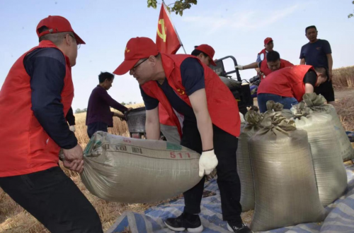 洛陽市偃師區(qū)：收麥不用愁 黨員來幫忙