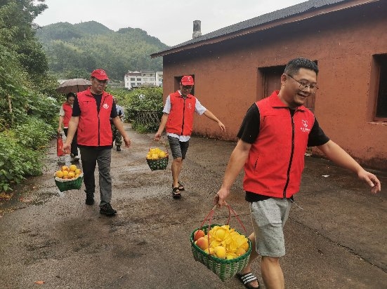 浙江仙居：高山黃桃飄香 “香溢”助力共富