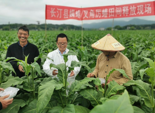 福建長汀：昆蟲賦能鄉(xiāng)村振興