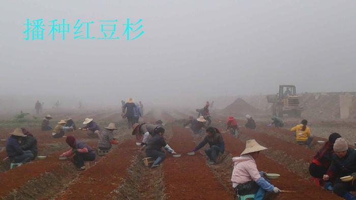 專訪十二五住宅中試基地負(fù)責(zé)人王少雄：外化于匠物