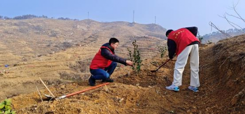 植樹造林保環(huán)境 青藍(lán)工程展活力