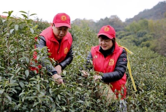 青春執(zhí)筆 繪就志愿服務色彩